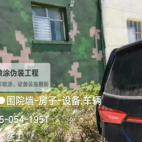 郑州数码迷彩漆施工
